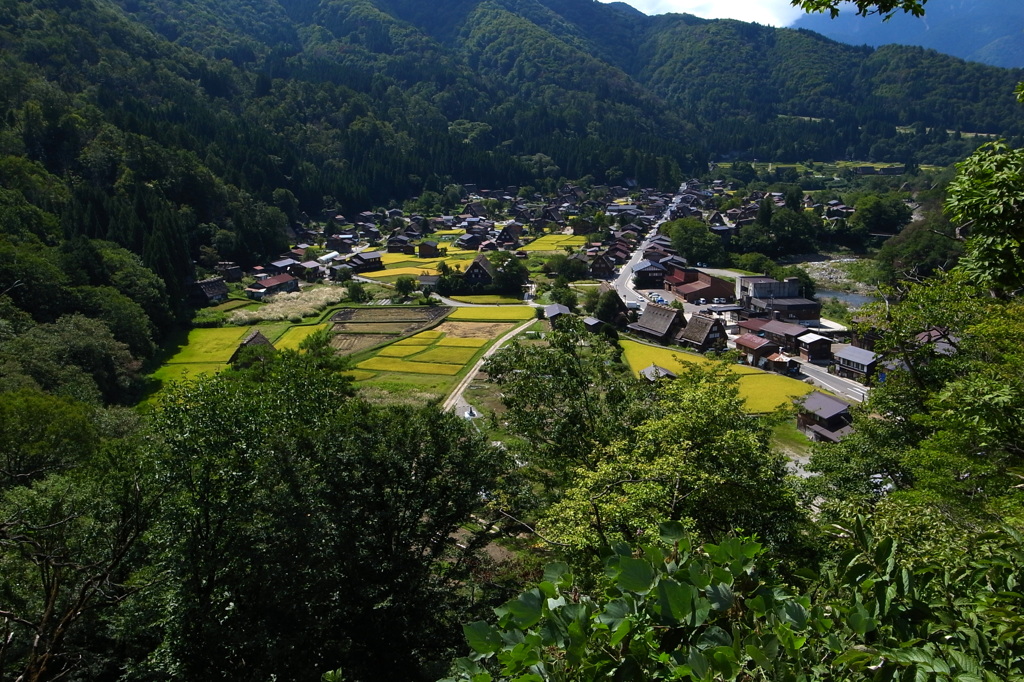 秋の白川郷1