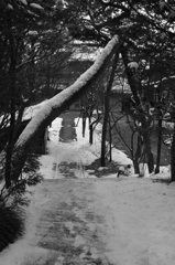 雪道