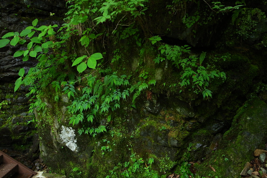小坂の滝（岐阜）3