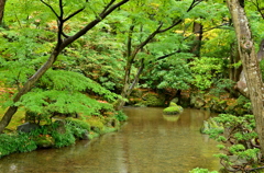 金沢紀行 12 - 水と緑のニ