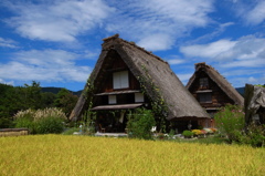 秋の白川郷3