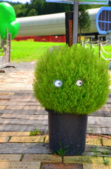 コキアパークの案内人