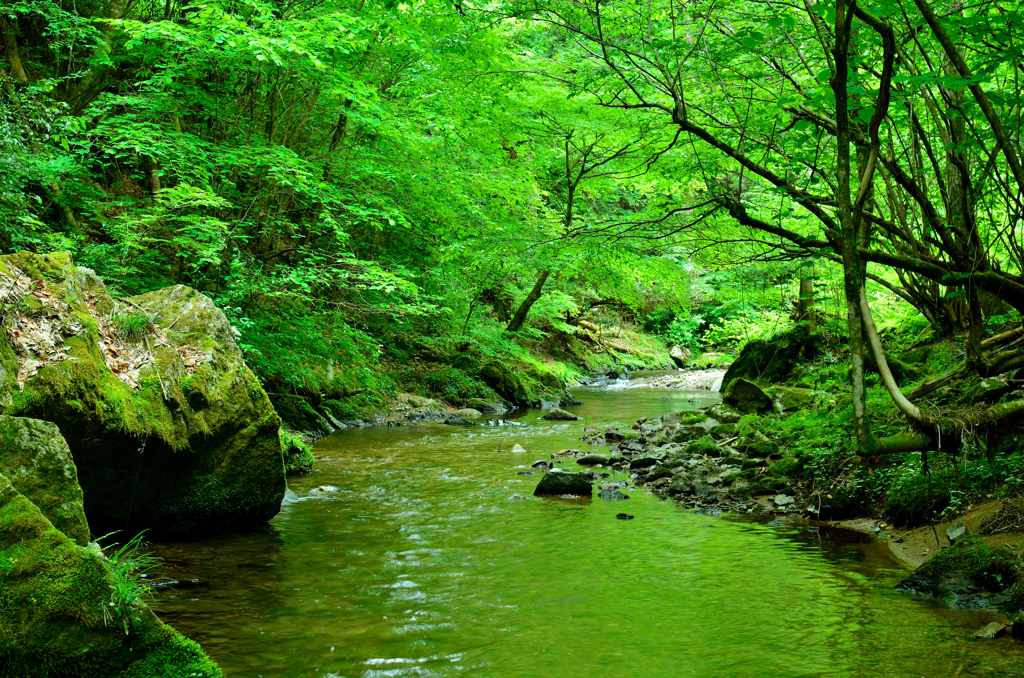 横谷峡の水辺 02