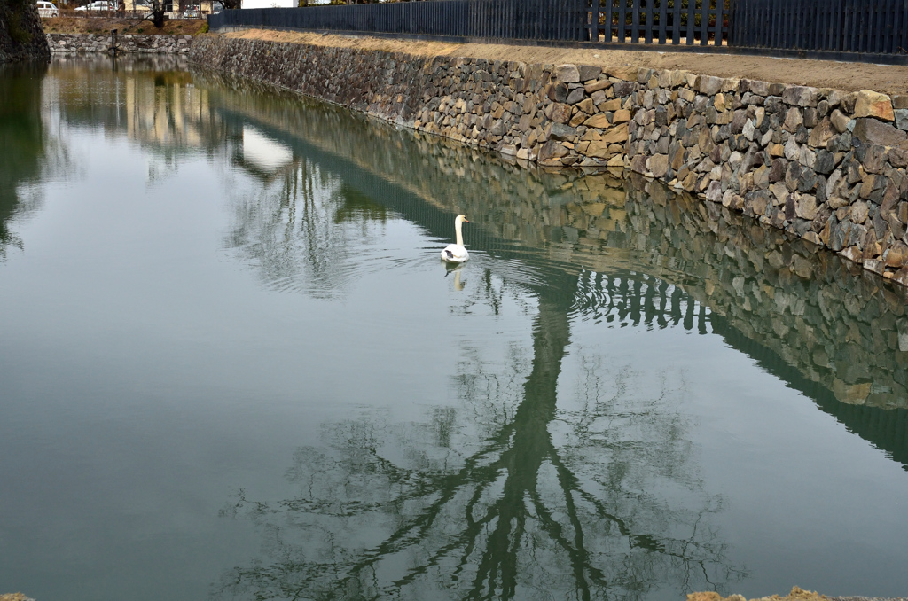 街の水景