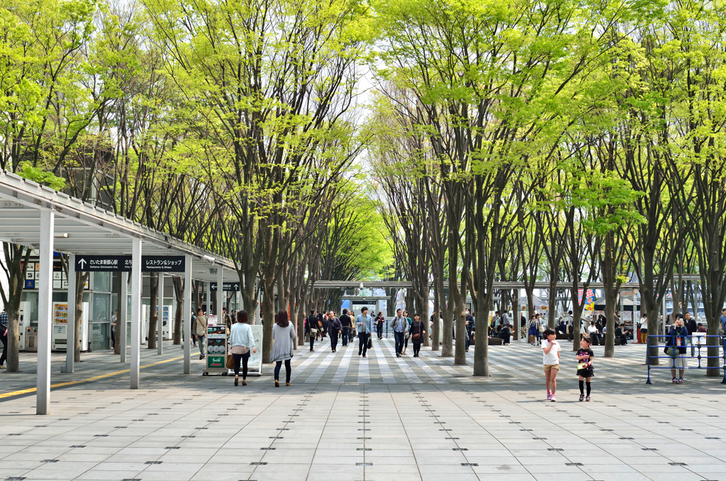 新緑のけやき広場 01