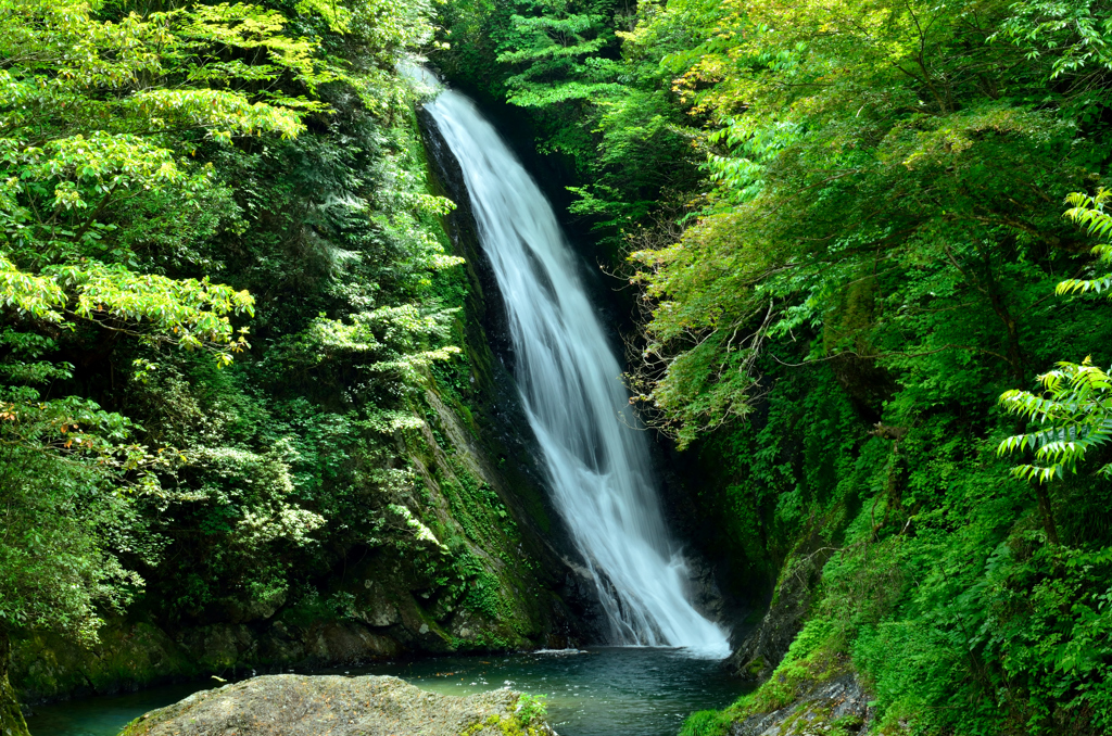 鶏鳴し 紅葉二度見る 白い滝 03