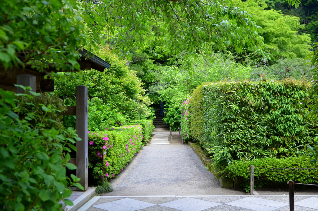 古刹を訪ねて07 - 明月院