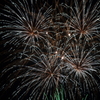 One Night Flower  - しろ -