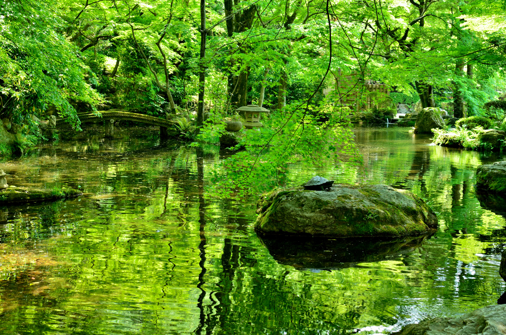 水鏡、新緑のなか 03