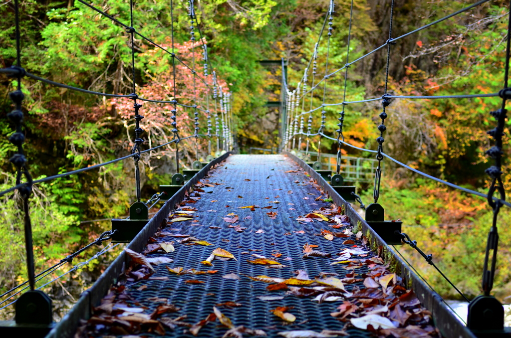 秋の吊り橋 - 巌立峡