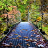 秋の吊り橋 - 巌立峡