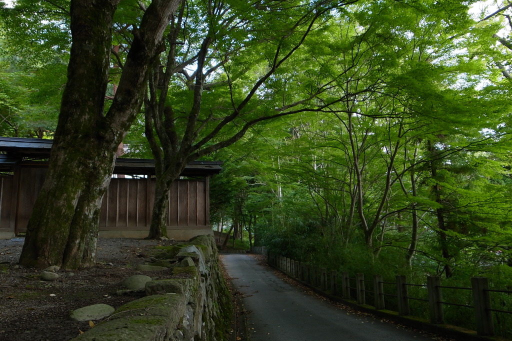 日枝神社（岐阜）2