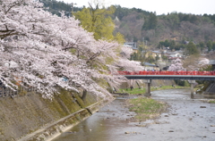 春の到来