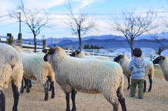 方向 - 牧歌の里