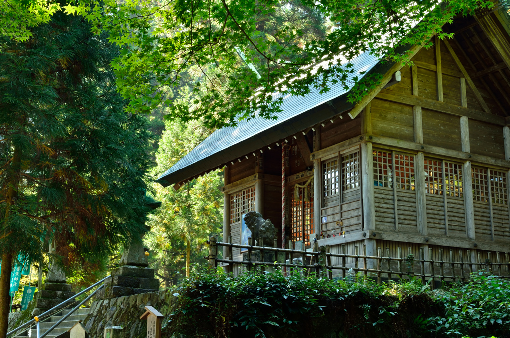 養老神社と陽光