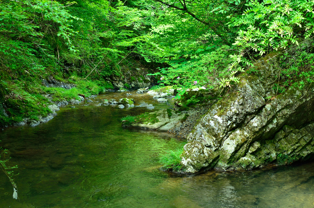 横谷峡の水辺 04
