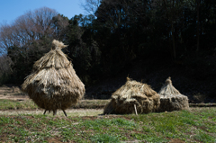 わら山みっつ