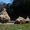 わら山みっつ