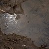 お天気雨