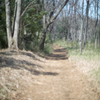 田舎道