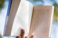 日だまりの読書
