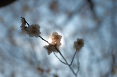 眩しいっ。