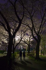 Night Walking