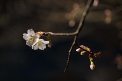 あとひと息
