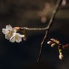あとひと息