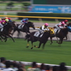 レース