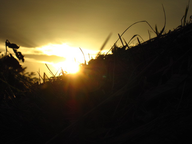 gold　c02