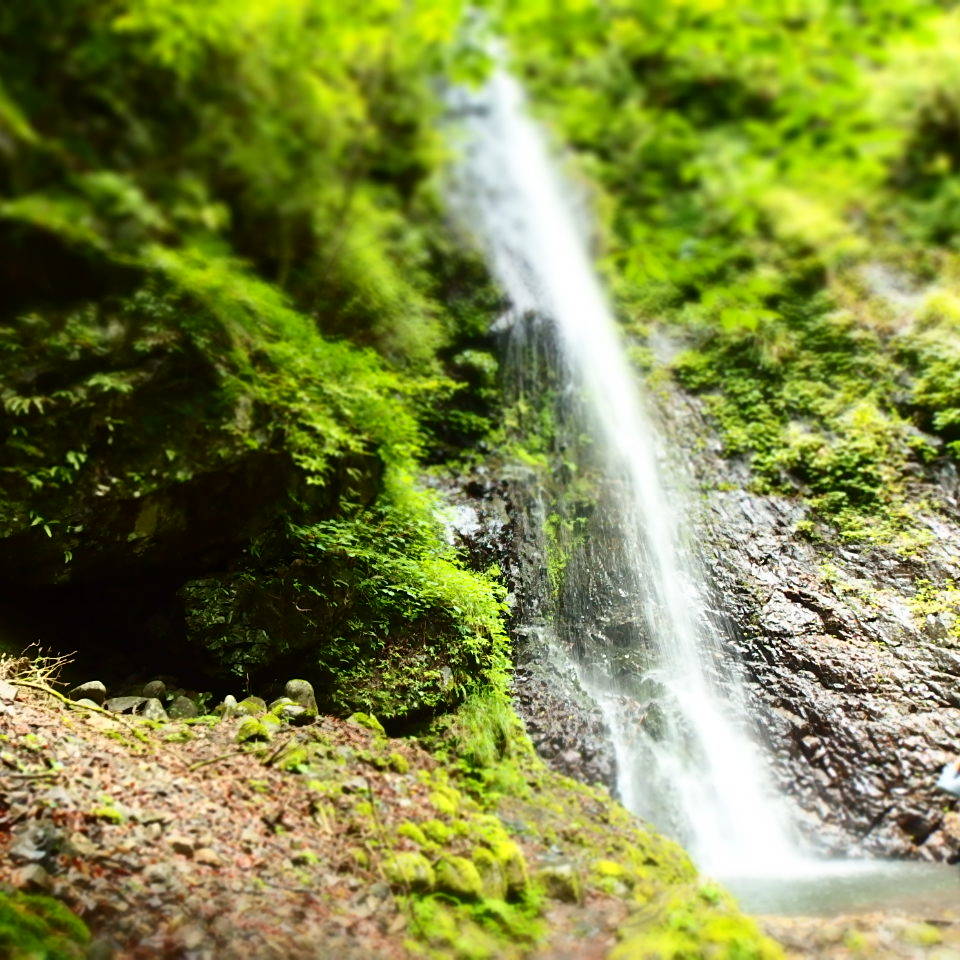 滝