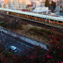行き交う