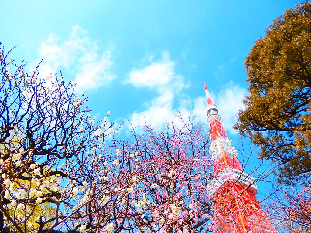 TOKYO #02