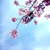 fragile