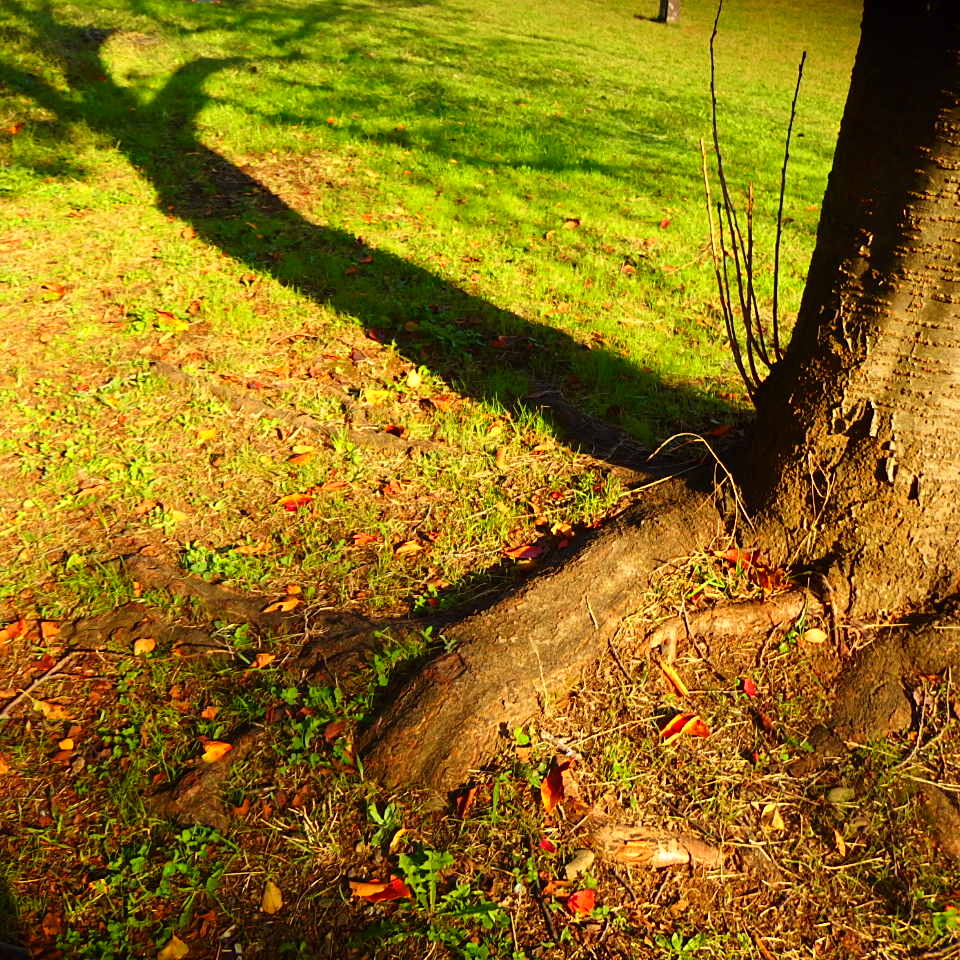 autumn#24