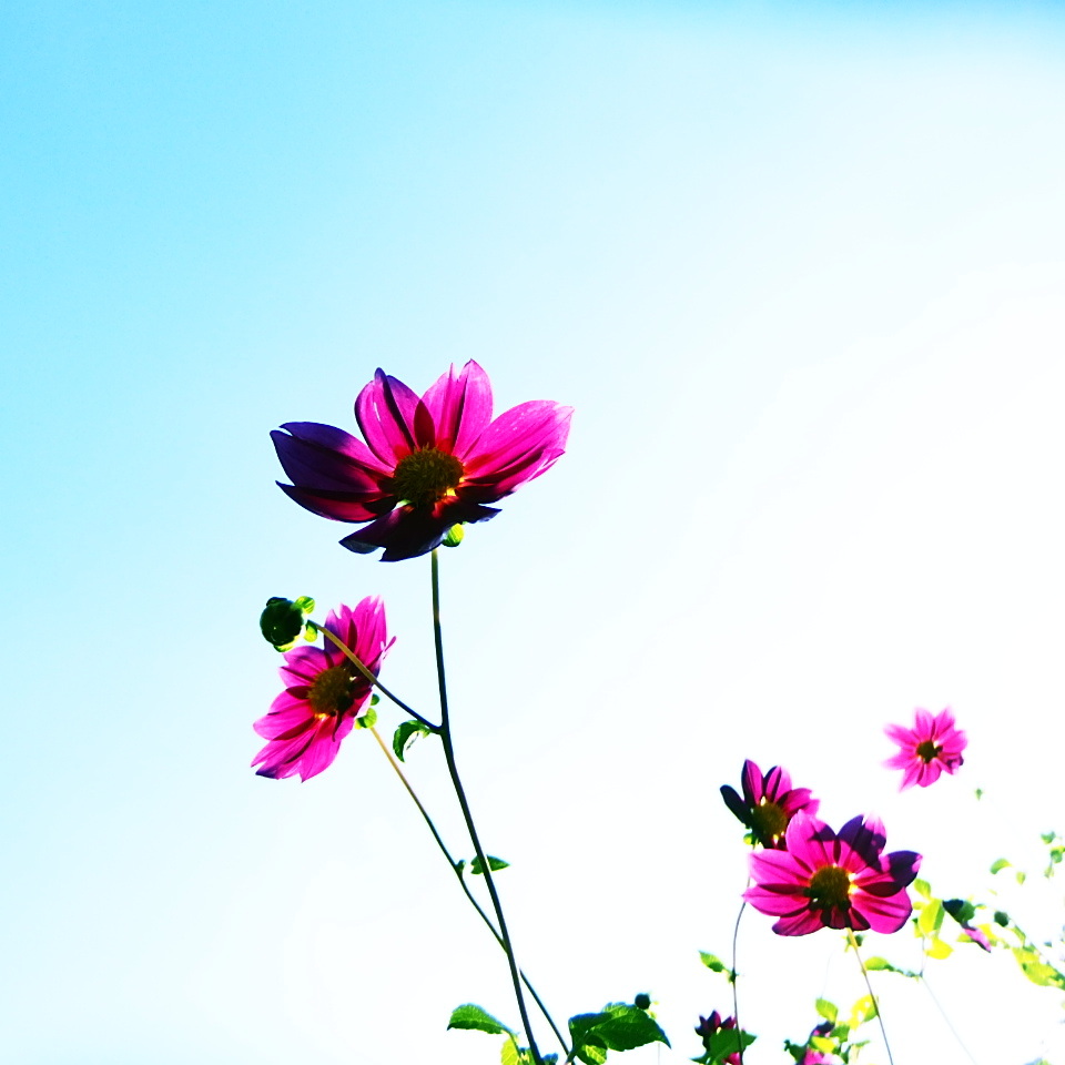 autumn#08