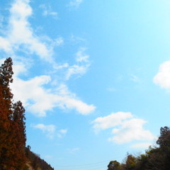 青い空、白い雲