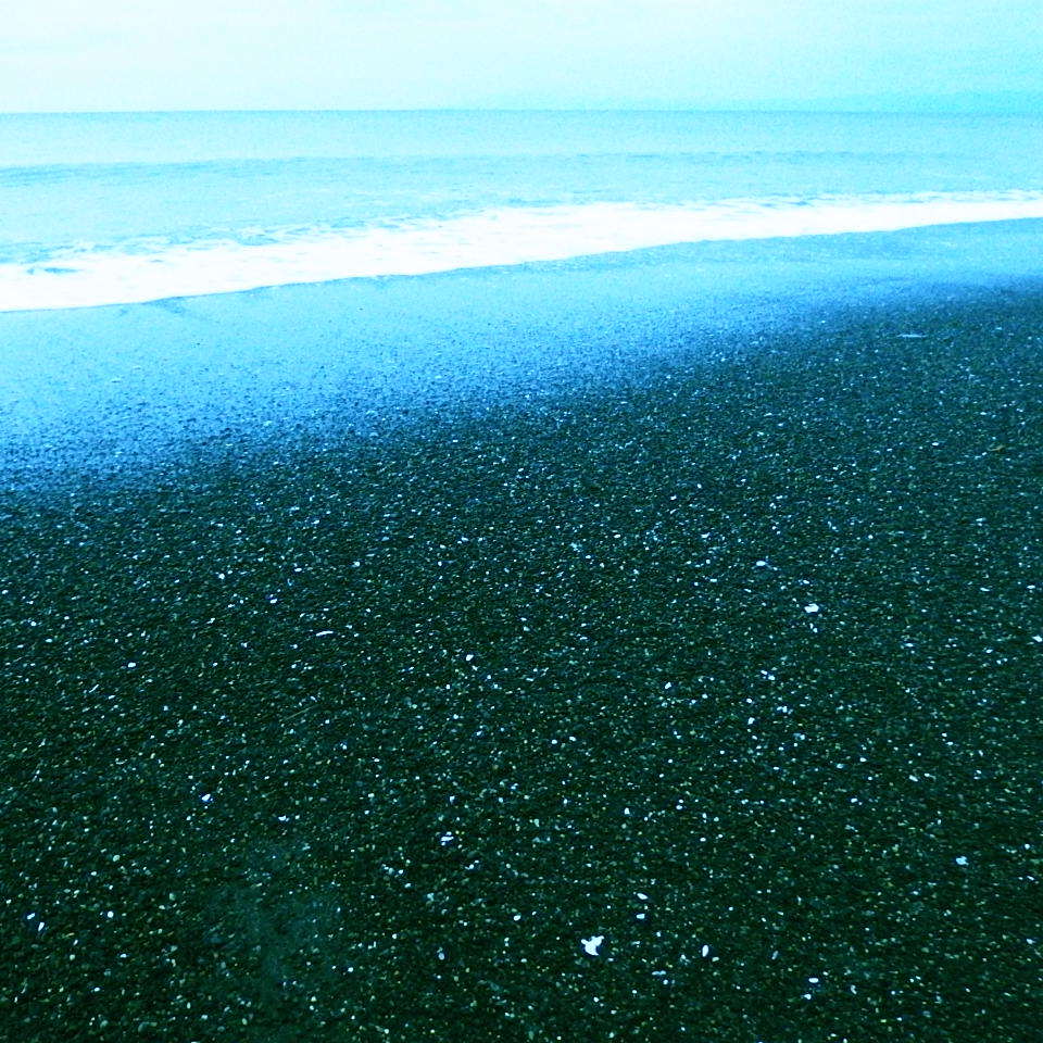 海