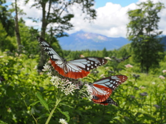 磐梯山を望む