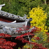 鈴虫寺の紅葉