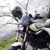 エリミネーター250V x 秩父桜