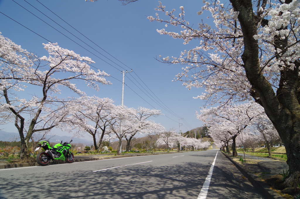 ninja250 ×　聖地公園
