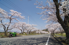 ninja250 ×　聖地公園