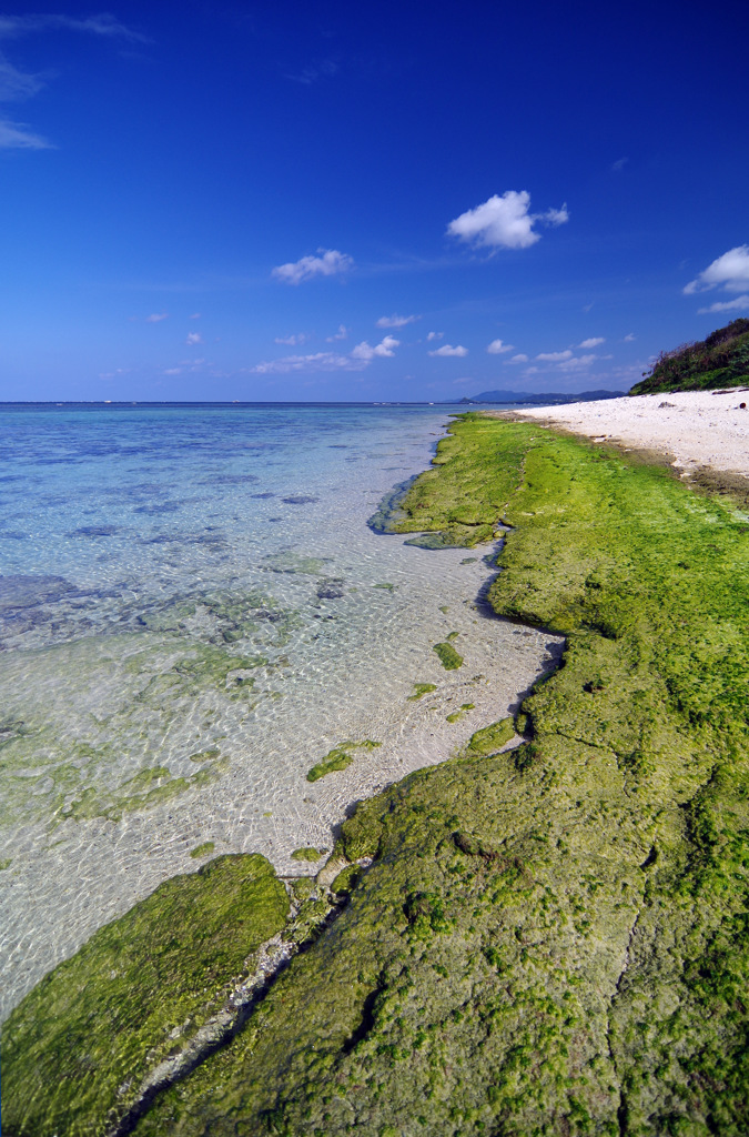 米原海岸