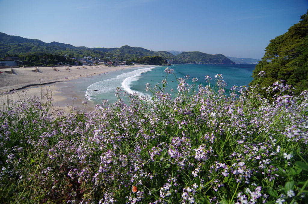 白浜海岸