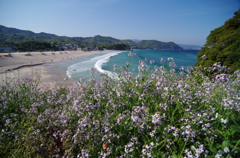 白浜海岸