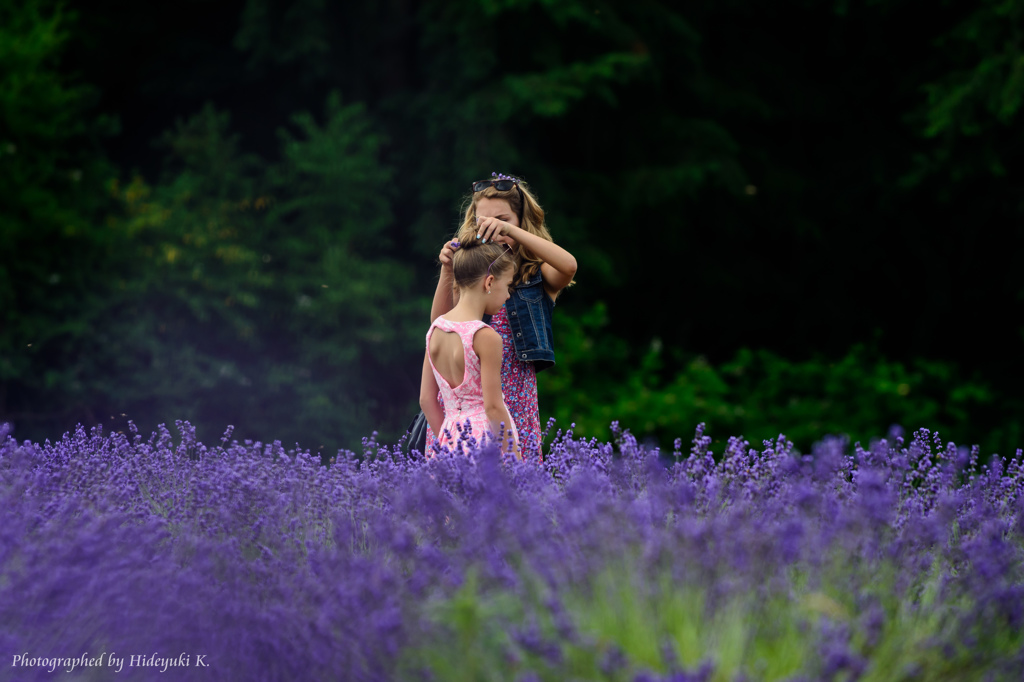 亜麻色の髪の乙女 - In Lavender Field