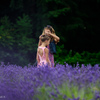 亜麻色の髪の乙女 - In Lavender Field