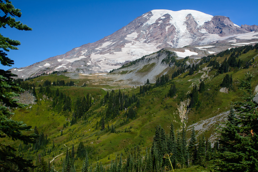 Mt. Rainier National Park #2